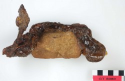 GT8080 - FERROUS