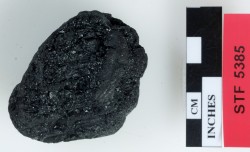 STF5385 - Coal