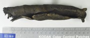 Rope/leather/etc. artefact recovered from Arpenteur