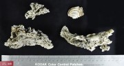 Marine artefact recovered from Albany Town Jetty site