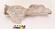 NON-FERROUS artefact recovered from Broome Aircraft Wrecks