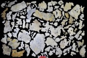 Lead artefact recovered from Batavia
