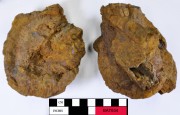 Armament artefact recovered from Batavia
