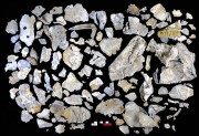 Lead artefact recovered from Batavia