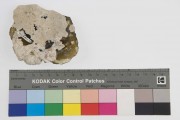Glass artefact recovered from Batavia