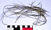 Copper/brass artefact recovered from Batavia