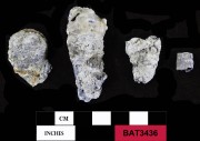 Pewter artefact recovered from Batavia
