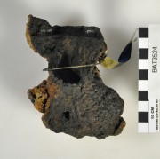 Ship's fittings artefact recovered from Batavia