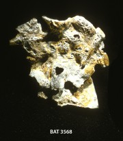 Gold artefact recovered from Batavia