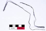 Copper/brass artefact recovered from Batavia