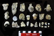 Pewter artefact recovered from Batavia