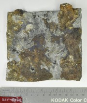 Lead artefact recovered from Batavia