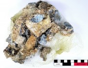 Concretions artefact recovered from Batavia