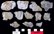 Lead artefact recovered from Batavia