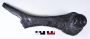 Bronze artefact recovered from Batavia
