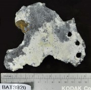 Lead artefact recovered from Batavia