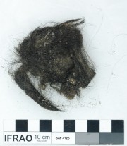 Rope/leather/etc. artefact recovered from Batavia