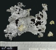 NON-FERROUS artefact recovered from Batavia
