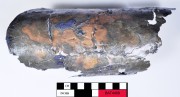 Copper/brass artefact recovered from Batavia