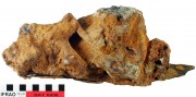 Ship's timber artefact recovered from Batavia