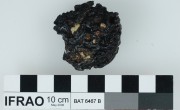 Bark/bamboo artefact recovered from Batavia