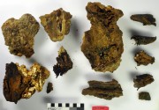 Fittings artefact recovered from Batavia
