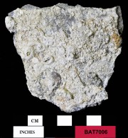 Pewter artefact recovered from Batavia