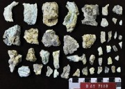 Pewter artefact recovered from Batavia