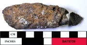 Concretions artefact recovered from Batavia