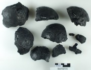 Armament artefact recovered from Batavia