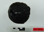 Armament artefact recovered from Batavia