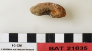 Stoneware artefact recovered from Batavia