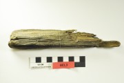 TIMBER artefact recovered from Belinda