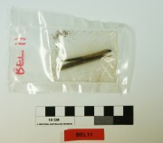 Animal artefact recovered from Belinda