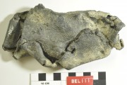 Lead artefact recovered from Belinda