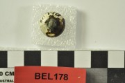 Miscellaneous/Unidentified artefact recovered from Belinda