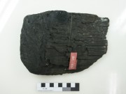 Ship's timber artefact recovered from Belinda