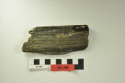 TIMBER artefact recovered from Belinda
