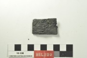 Lead artefact recovered from Belinda
