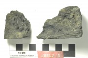 TIMBER artefact recovered from Belinda