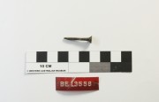 Copper/brass artefact recovered from Belinda