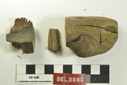 TIMBER artefact recovered from Belinda