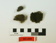 Textile artefact recovered from Belinda