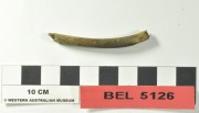 Animal artefact recovered from Belinda