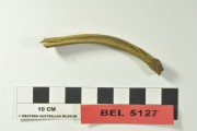 Animal artefact recovered from Belinda