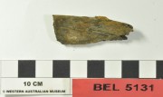 Animal artefact recovered from Belinda