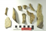 Animal artefact recovered from Belinda