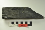 TIMBER artefact recovered from Belinda