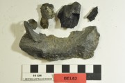 Lead artefact recovered from Belinda