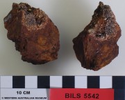 TIMBER artefact recovered from Beacon Island Land Site